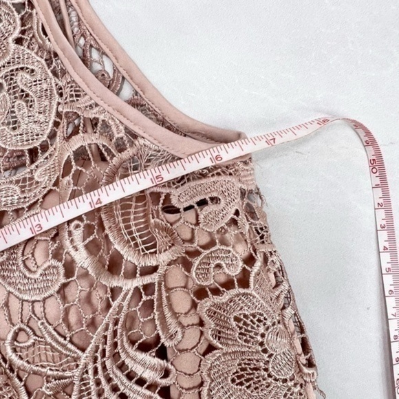 NWOT Adrianna Papell Lace Illusion Dress - Picture 4 of 8